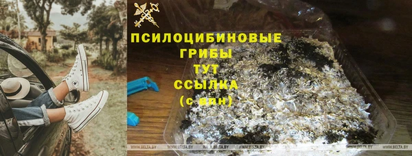 мет Абаза