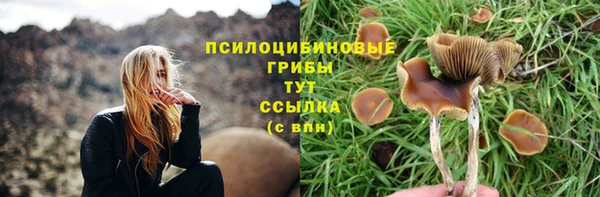 мет Абаза