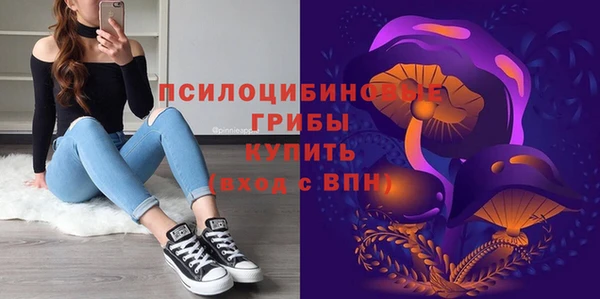 мет Абаза